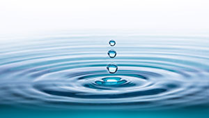 Lewis Ripple Water Effect Vegetation Management Services Entry Level to COO