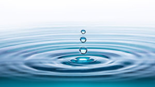 Lewis Ripple Water Effect Vegetation Management Services Entry Level to COO
