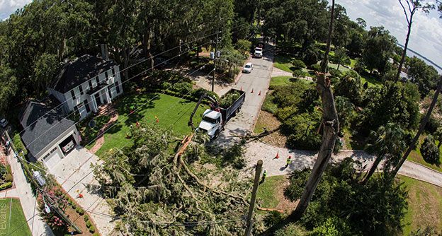 Residential Tree Care Emergency Tree Removal Lewis Services