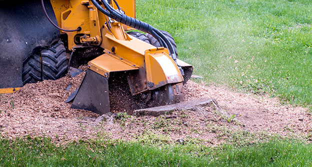 Residential Tree Care Stump Grinding Lewis Services