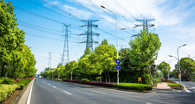 Roadside Vegetation Management Communication Lines Lewis Services