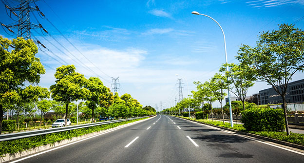 Roadside Vegetation Management Light Utility Pole Clearance Lewis Services