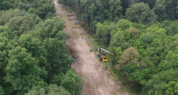 Utility Vegetation Management Right of Way Clearing Lewis Services