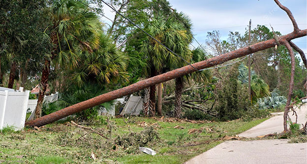 Vegetation Management After Storm Damage Assessment Lewis Services