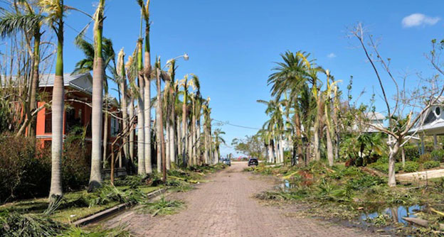 Vegetation Management After Storm Post Storm Assessment Lewis Services