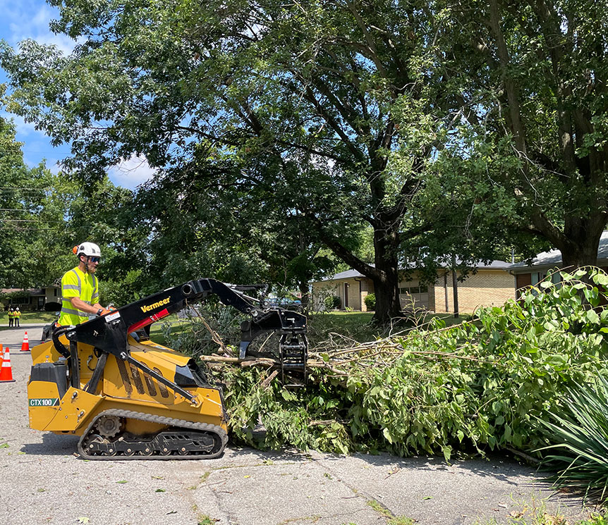 vegetation management company lewis services v4