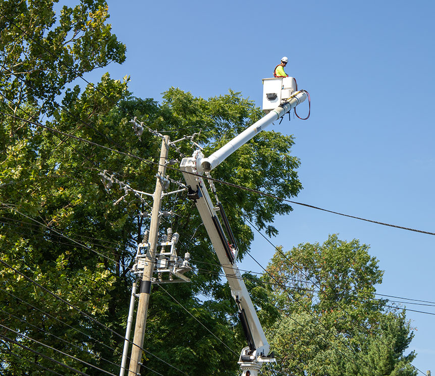 vegetation management company lewis services v6