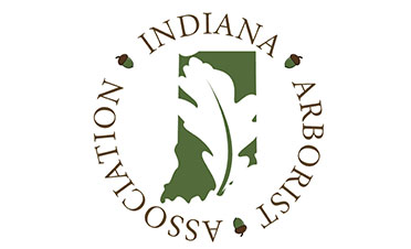Indiana ISA v1