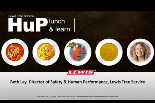 Webinar LnL Lewis Services Beth Lay