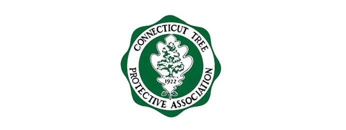 affiliate connecticut