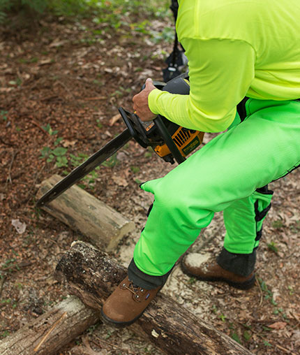 Protection and Comfort